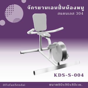 KDS-S-004-จักรยานเอนปั่นน้องหนู(สแตนเลส 304)